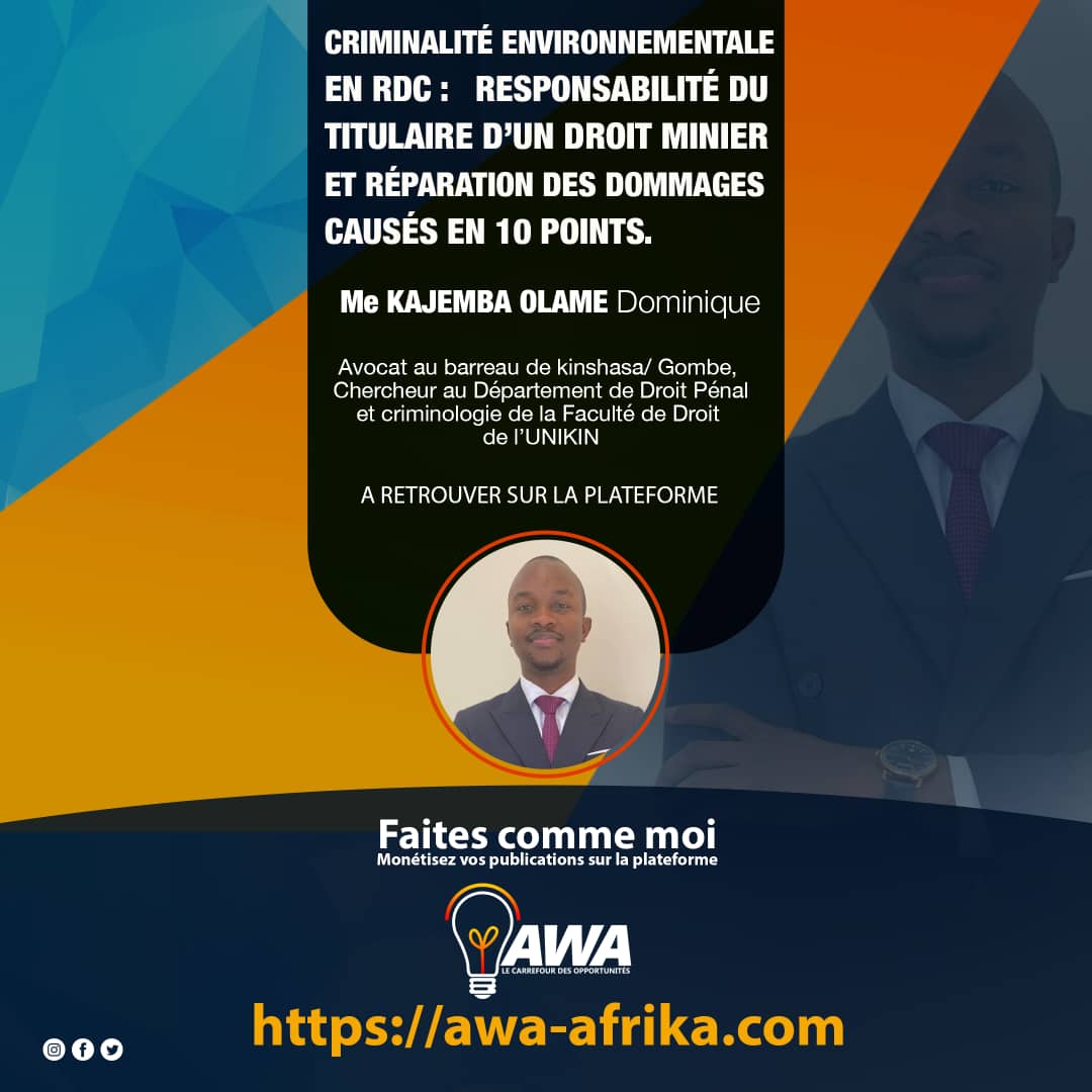 FACTEURS DE RECOURS A L’AUDIT INTERNE ET EXTERNE  DANS LES PETITES ET MOYENNES ENTREPRISES  DU NORD KIVU EN RD CONGO